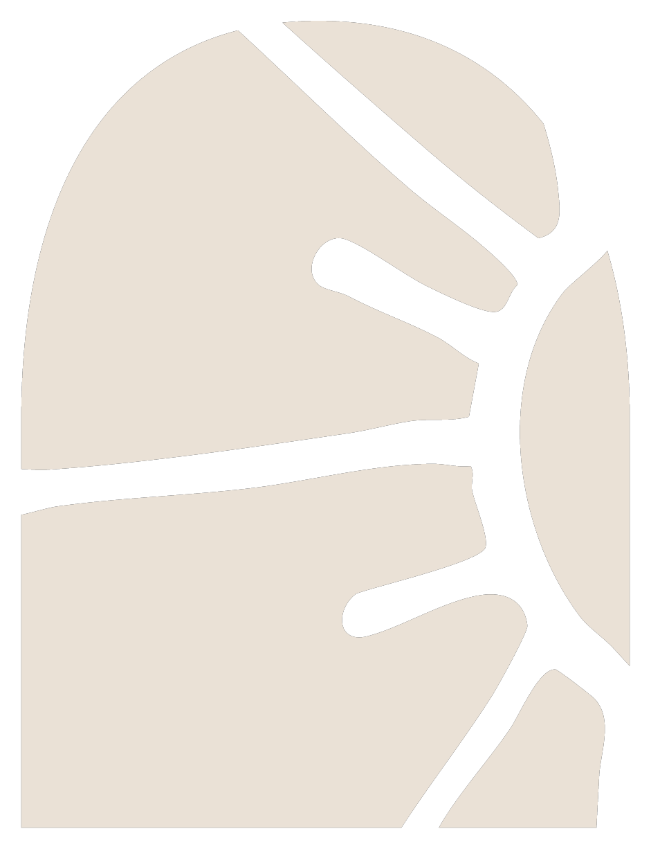 Luz D&rsquo; Adobe